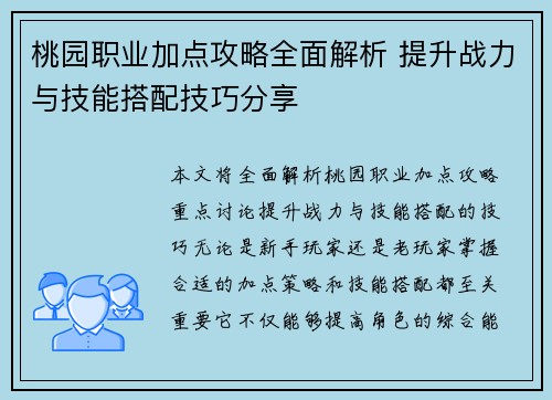 桃园职业加点攻略全面解析 提升战力与技能搭配技巧分享